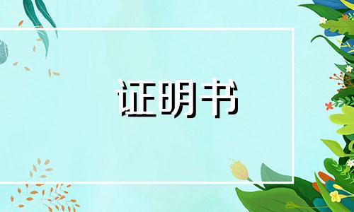 【通用】实习工作收入证明优秀范本七篇