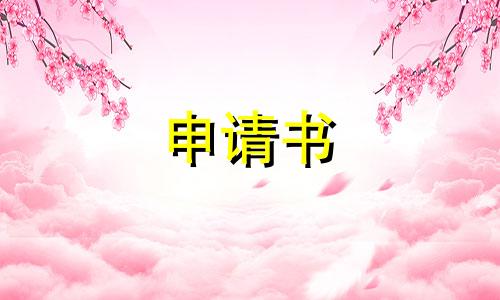 个人转正申请书（精选）七篇