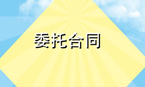 网站及手机app设计制作合同