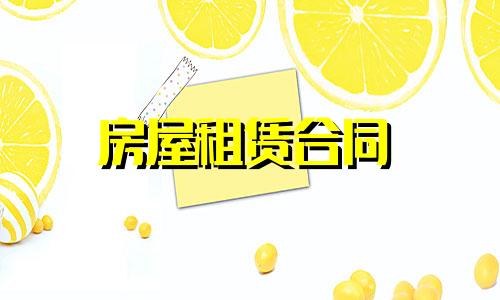 租房合同文件格式样版