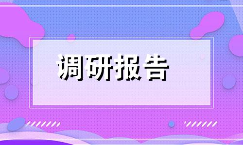 底层工商局执行力建设调查报告