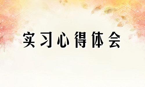 在校大学生实习收获心得体会范文全新升级2022