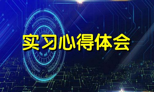 实习总结体会心得样本10篇