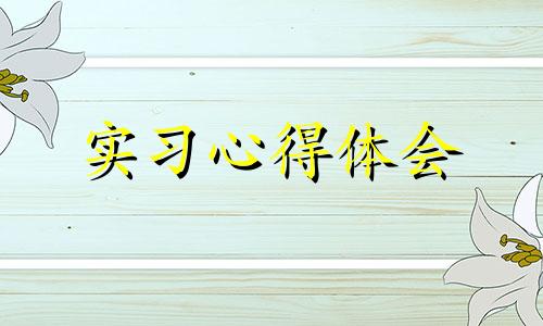 2022教导主任实习总结体会心得全新10篇