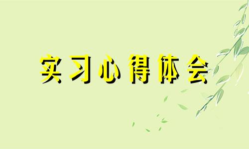 教导主任实习总结体会心得样本10篇