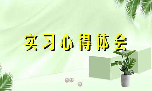 见习全新升级心得感悟感受2022