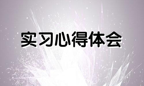 见习个人工作中心得体会范文2022