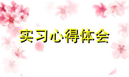 实习收获全新升级心得体会范文2022