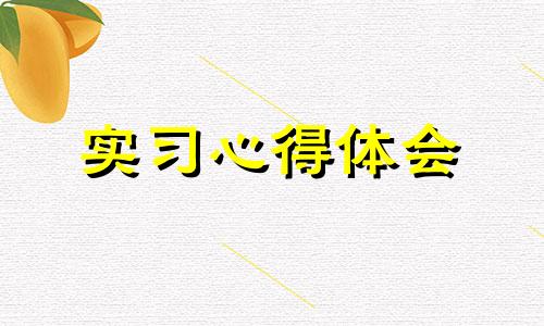 公司实习心得总结范例10篇