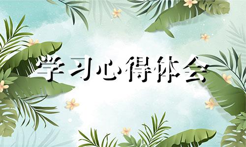 道路交通安全学习心得体会10篇