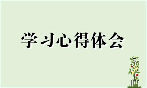 承传中华传统文化出色个人感悟体会心得7篇