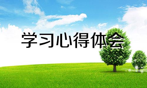 2022雷锋纪念日主题活动体会心得（10篇）