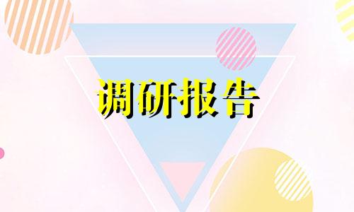 全新税款调查报告范文