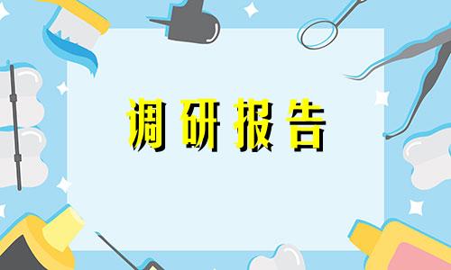 2022有关民生工程调查研究报告