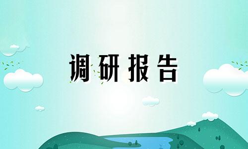 2022空气污染调查报告范文