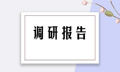 校园内绿色植物的种类调查研究报告