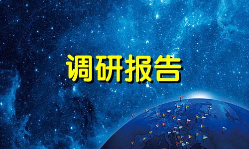 文化教育实习工作状况调查研究报告