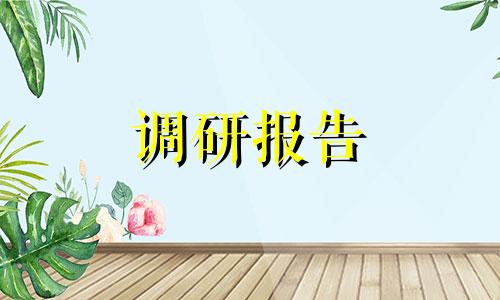 初一社会调查报告2800字范例