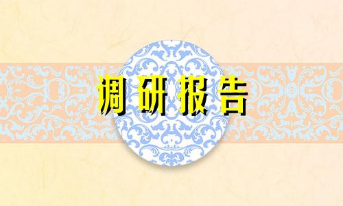 2022年有关中小学生网上状况调查研究报告参照范例5篇