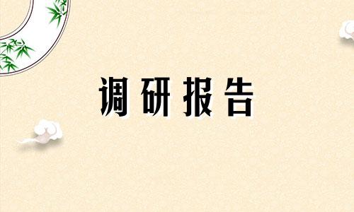 2022优选网上调查报告范文5篇