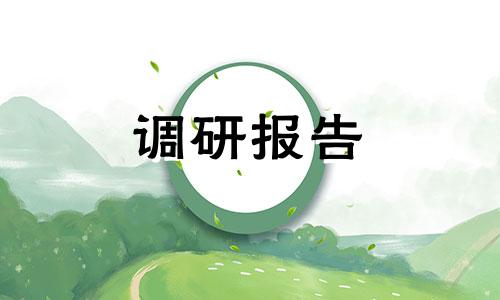 空气污染调查研究报告精萃篇样本