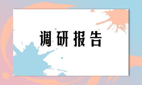 学生假期兼职调查研究报告精萃样本大合集