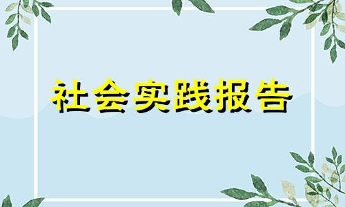 2022个人假期社会发展实践报告总结