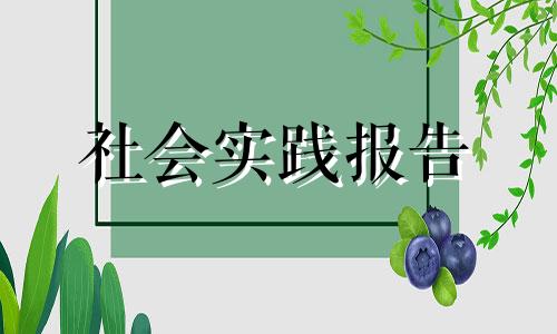 三下乡社会发展实践报告总结