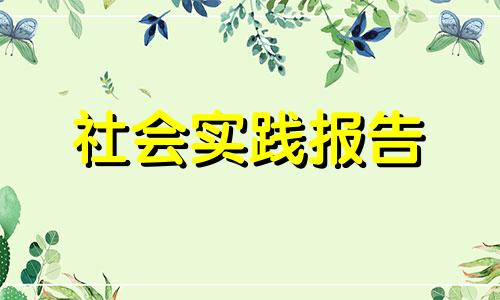 全新个人假期社会实践报告2022