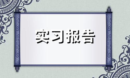 2022人力资源专业实训报告