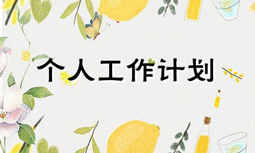 校领导个人工作计划10篇