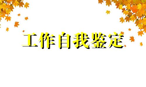 顶岗实习工作鉴定全新5篇