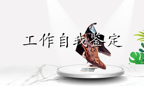 个人工作中自我鉴定范文500字全新10篇