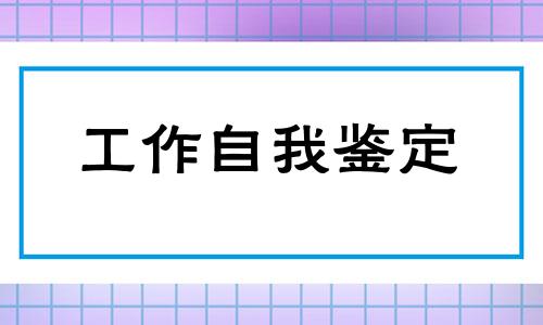 700字工作自我鉴定5篇