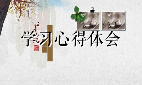 高校社会实践心得800字范例十篇