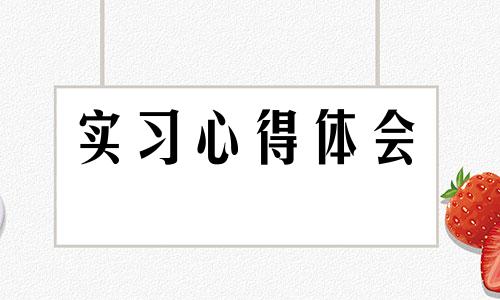 会计实习心得2500字5篇