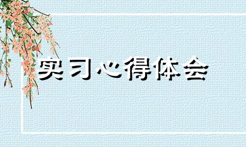 大一财务会计实习课实训报告体会心得5篇