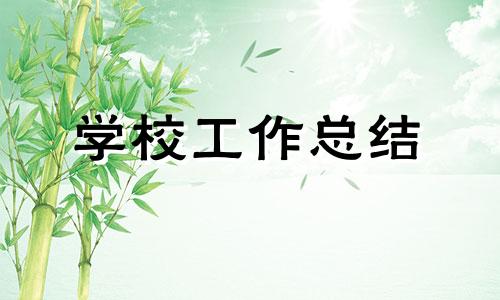 民办高校工作中总结报告范文