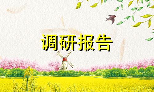 2022高三应届毕业初中物理课调研总结