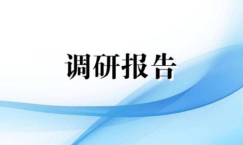 大学生调研汇报体会心得