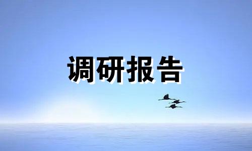 全新不忘初心牢记重任专题教育调查报告【3篇】