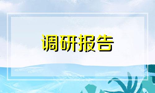 2022年有关青少年上网状况调查研究报告經典范例5篇