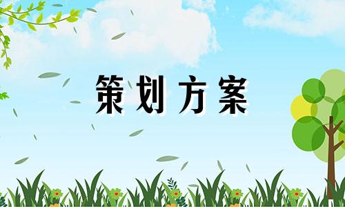 有关进行“以检查指导推动担任贯彻落实”活动策划方案