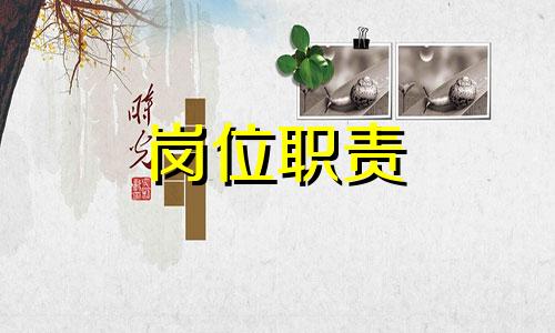 产业链工程项目岗位工作职责及岗位设置方案