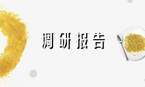 酒店实习调研报告范文6篇