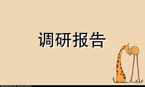 物流专业实习调查报告6篇